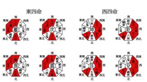 东四命|东四命与西四命的命卦对照